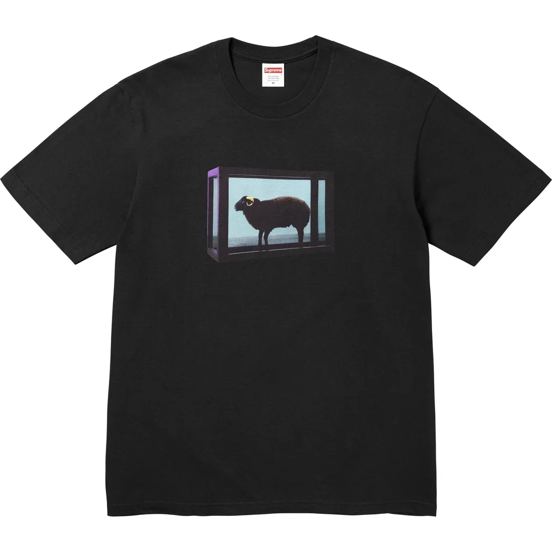 Supreme Damien Hirst Tshirt (Black)